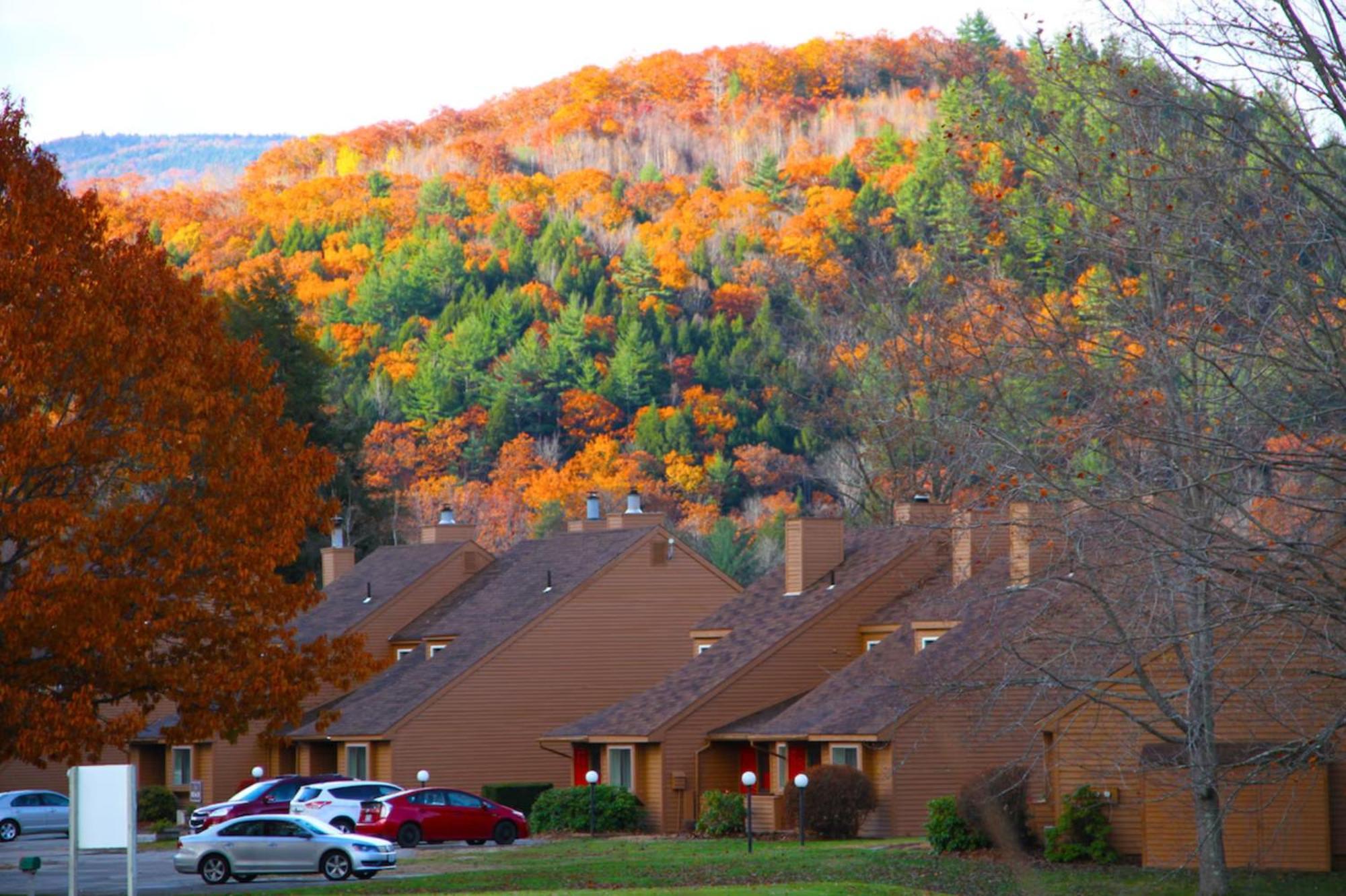 Cold Spring Plymouth Resort Ashland Eksteriør bilde